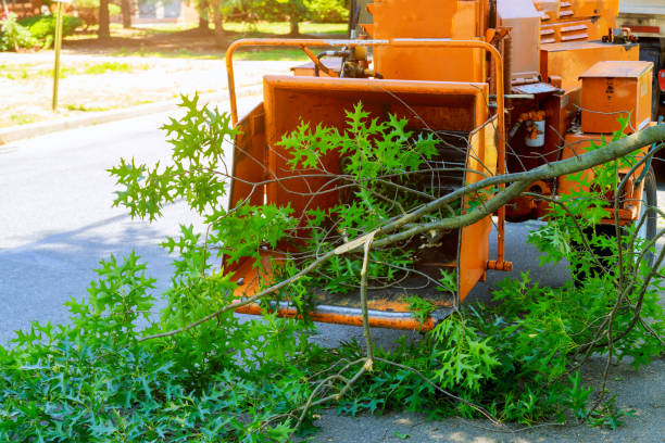 Lawn Drainage Solutions in Stone Mountain, GA